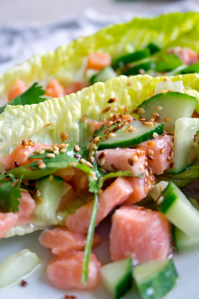 salmon ceviche with coriander, cucumber and lettuce