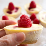 mini raspberry cheesecake topped with a raspberry