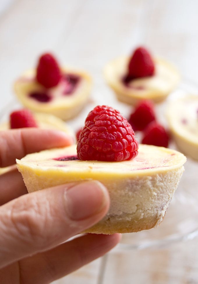 closeup of a low carb raspberry cheesecake held by a hand