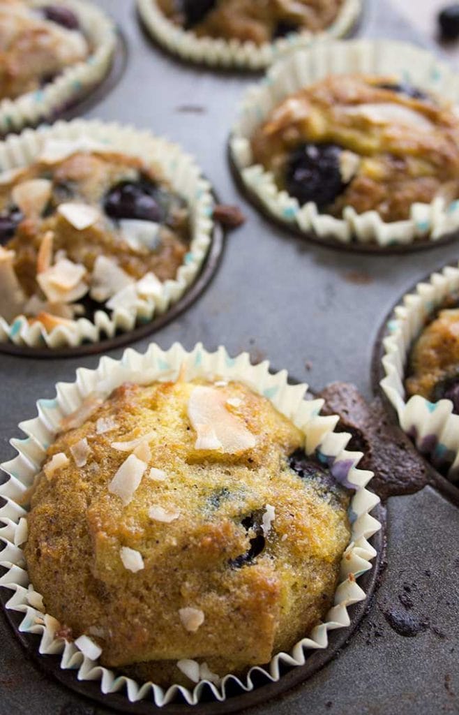 Keto Coconut Flour Muffins with Blueberries Sugar Free Londoner