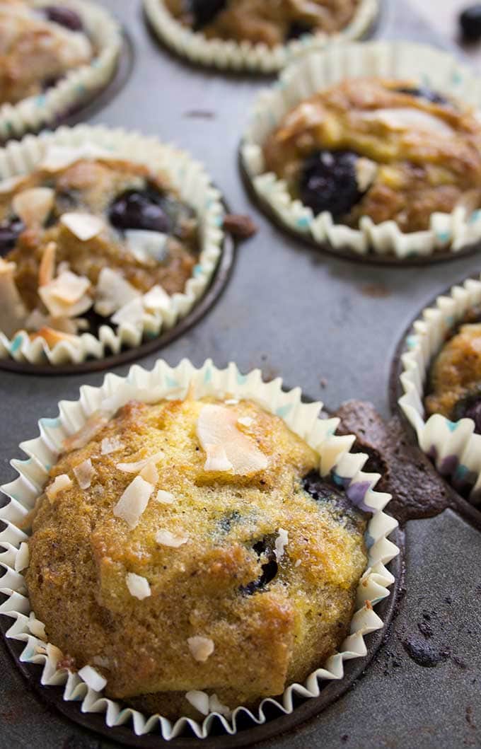 Coconut blueberry muffins are perfectly light and moist with fruity blueberry bursts. Enjoy as an on-the-go breakfast or as a satisfying snack. Gluten free and low carb.