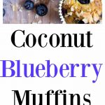 Blueberry coconut flour muffins