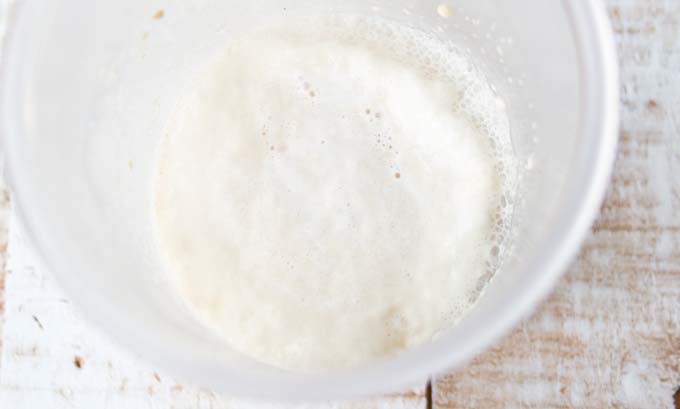 activated yeast in a bowl, frothing