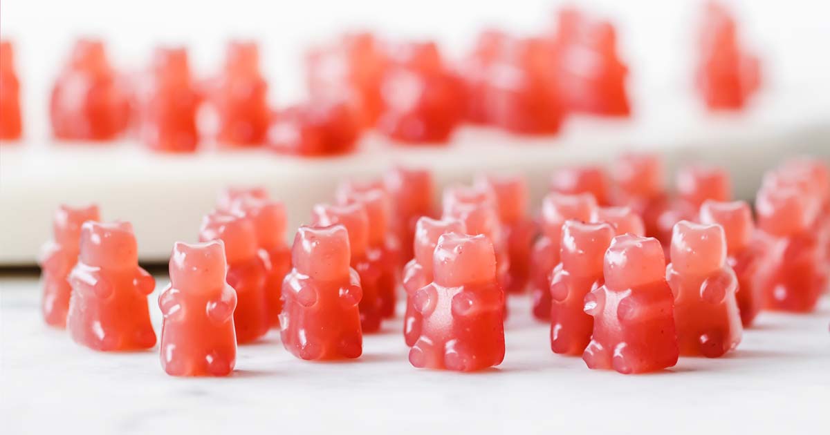 Triple Berry Sugar Free Gummy Bears