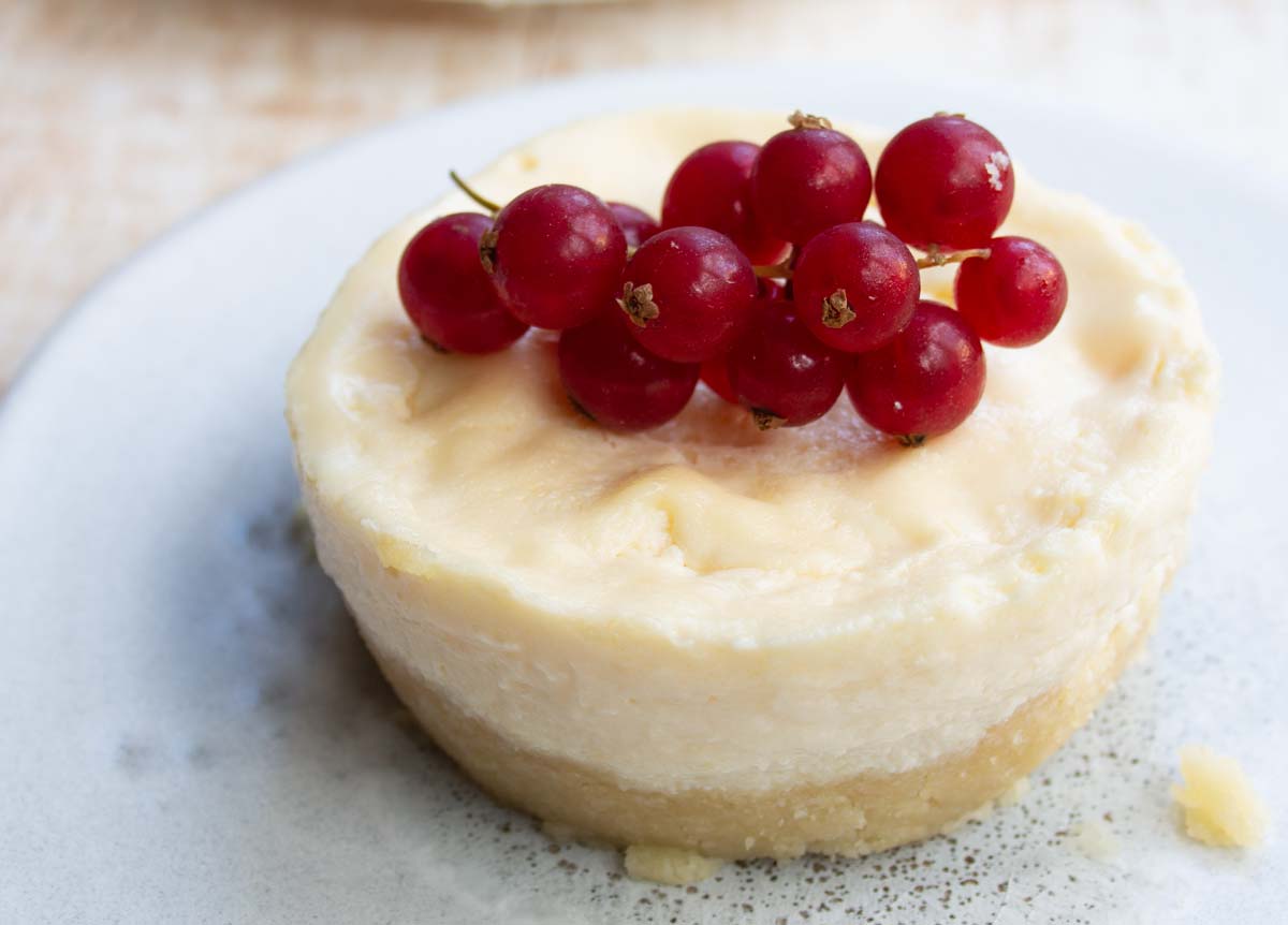 a mug cheesecake with a crust