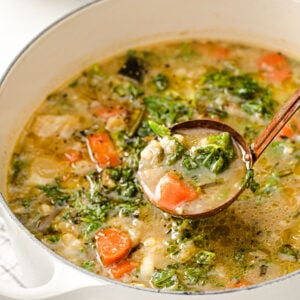 a ladle full of veggie soup