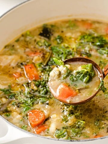 a ladle full of veggie soup