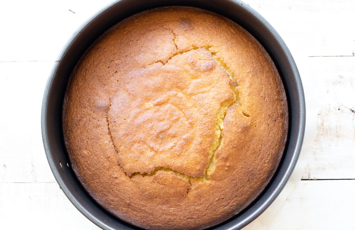 baked cake in a springform
