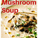closeup of a mushroom soup
