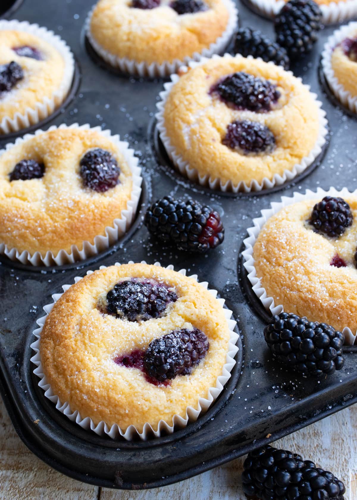 blackberry muffins in a tray with scattered berries