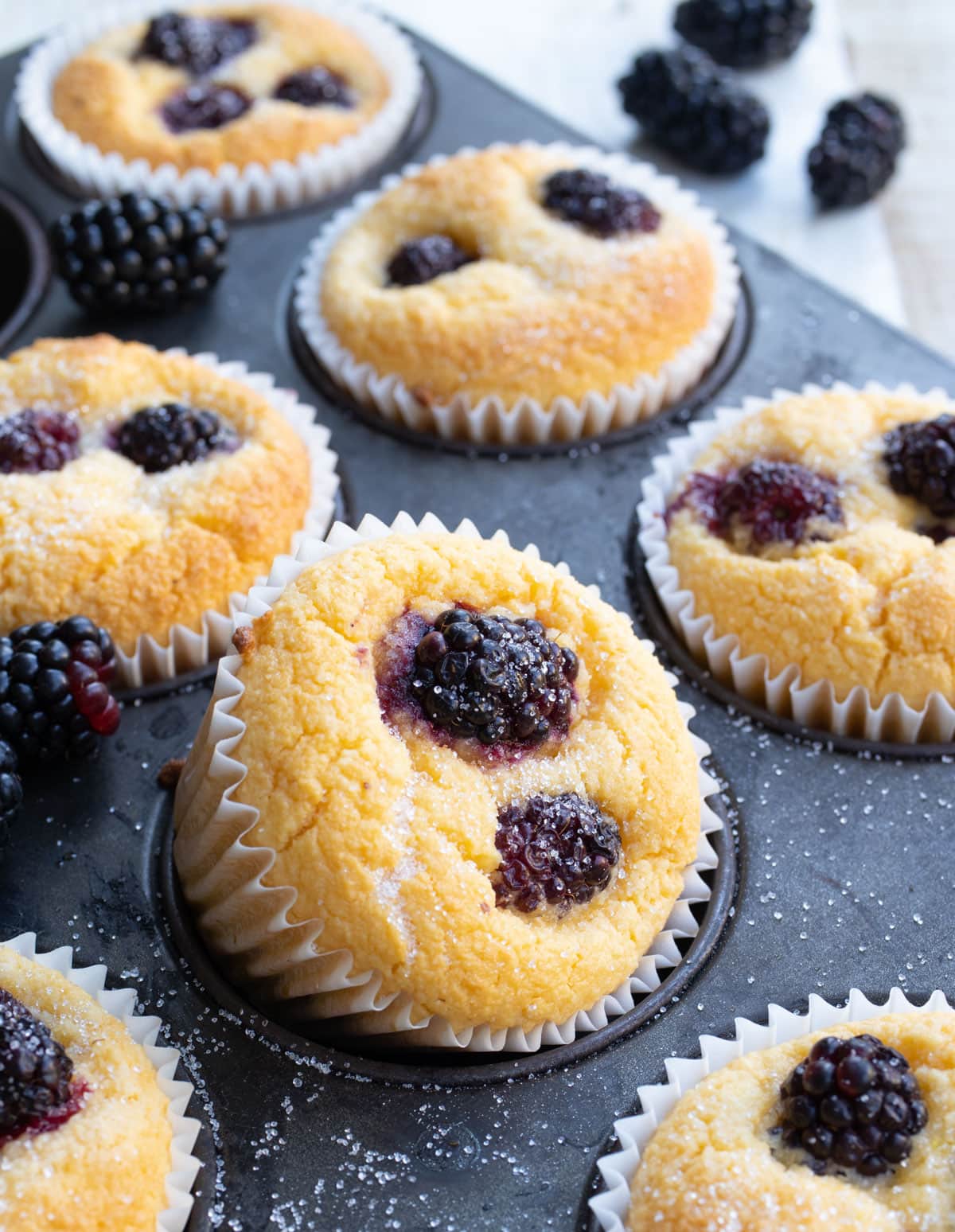 a low carb blackberry muffin in a paper case