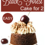 mini Black Forest cake with a cherry on top