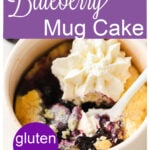 a blueberry mug cake
