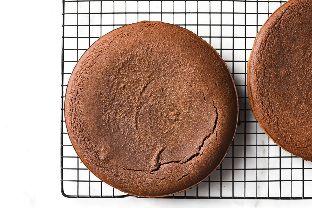 Two chocolate sponge cakes on a cooling rack