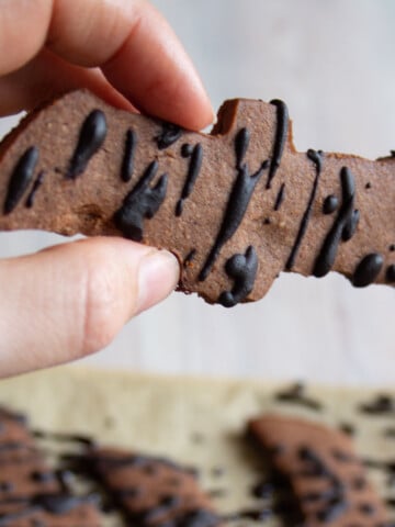 Hand holding a bat shaped chocolate cookie.