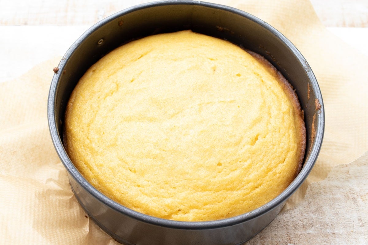 The baked cake in the springform tin.