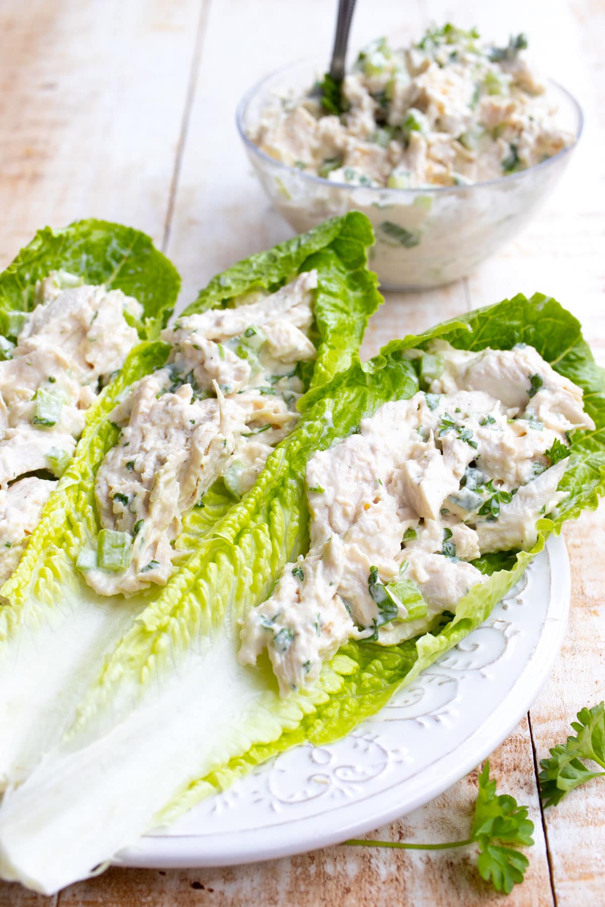 Romaine salad leaves with chicken salad.