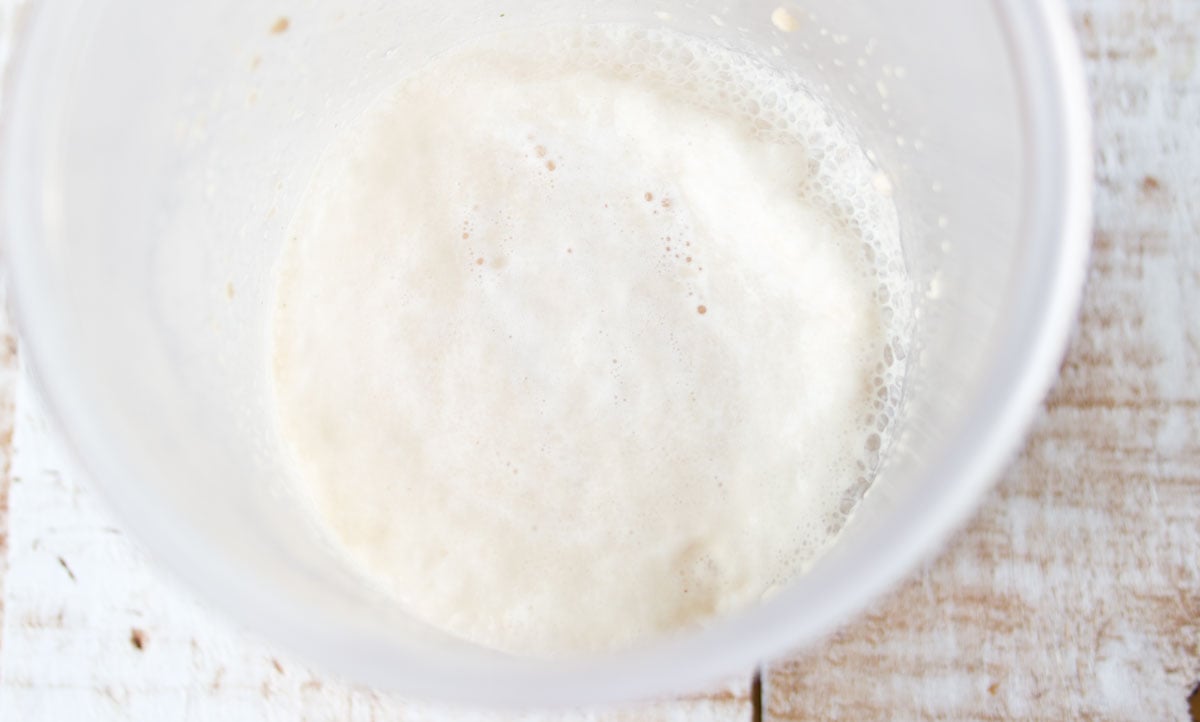 Yeast mixture bubbling and frothing in a bowl.