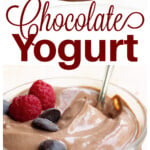 Chocolate yogurt in a glass cup topped with chocolate chips and raspberries and a spoonful of yogurt.