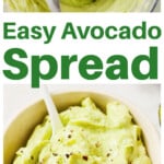 Avocado spread in a bowl and in a food processor.