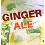A jug with sugar free ginger ale and a glass with fresh homemade ginger ale, decorated with lemon slices and fresh mint.