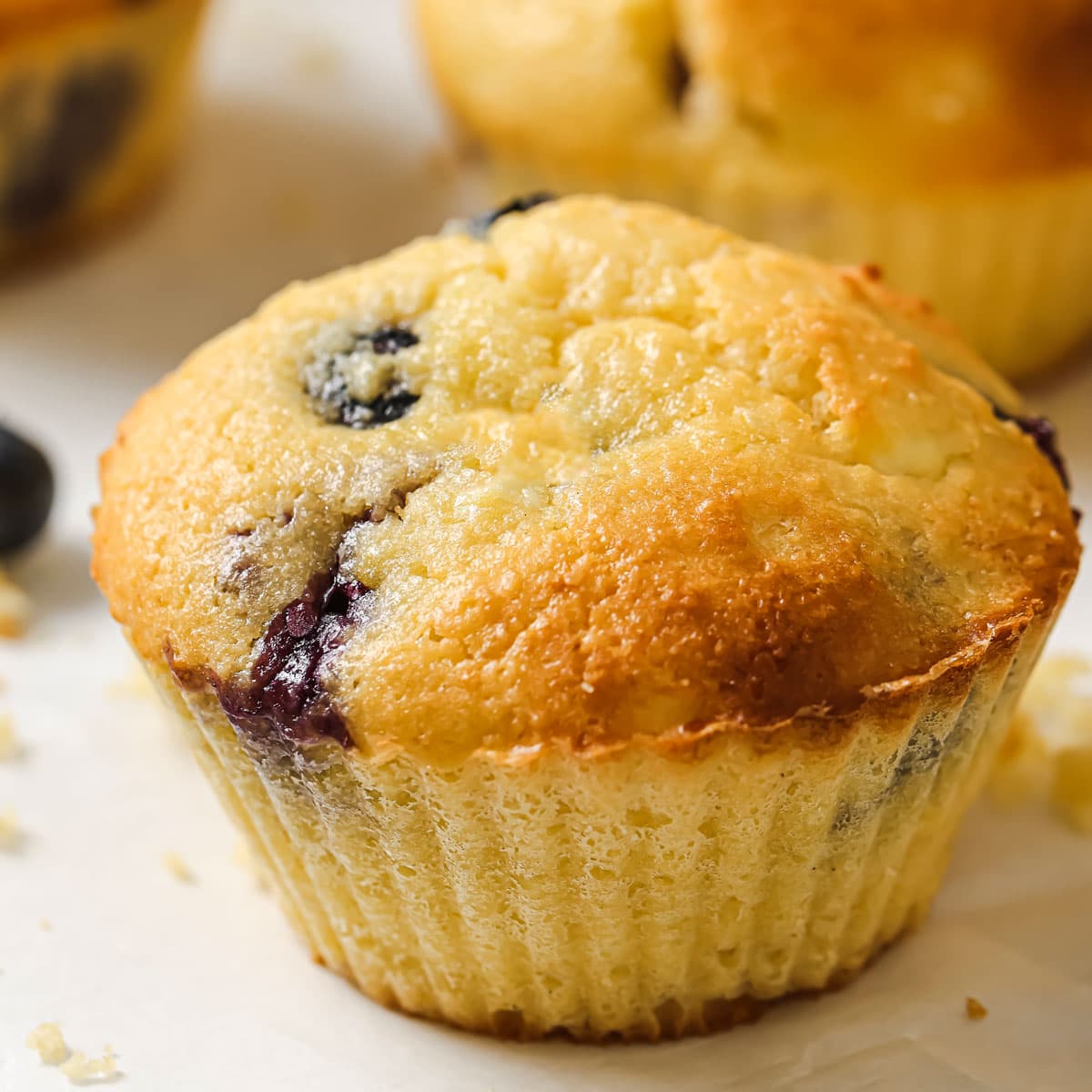 Protein Muffins