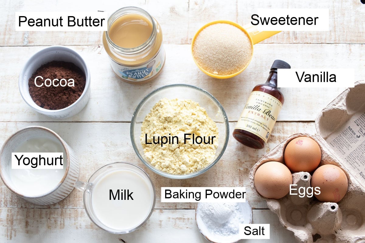 Ingredients to make protein chocolate muffins, measured into bowls and labelled.