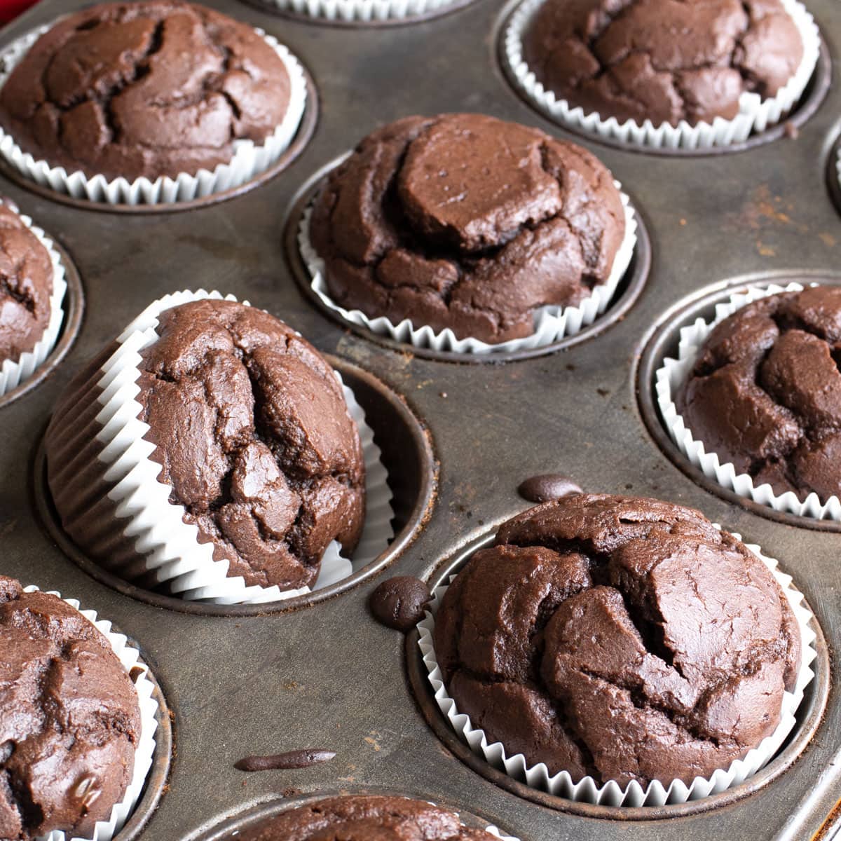 Chocolate Protein Muffins