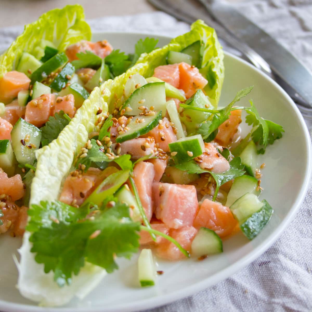Superb Salmon Ceviche