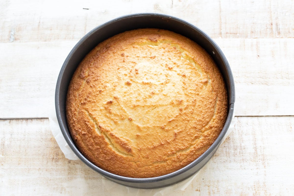 The baked cake with a golden top in the springform pan.