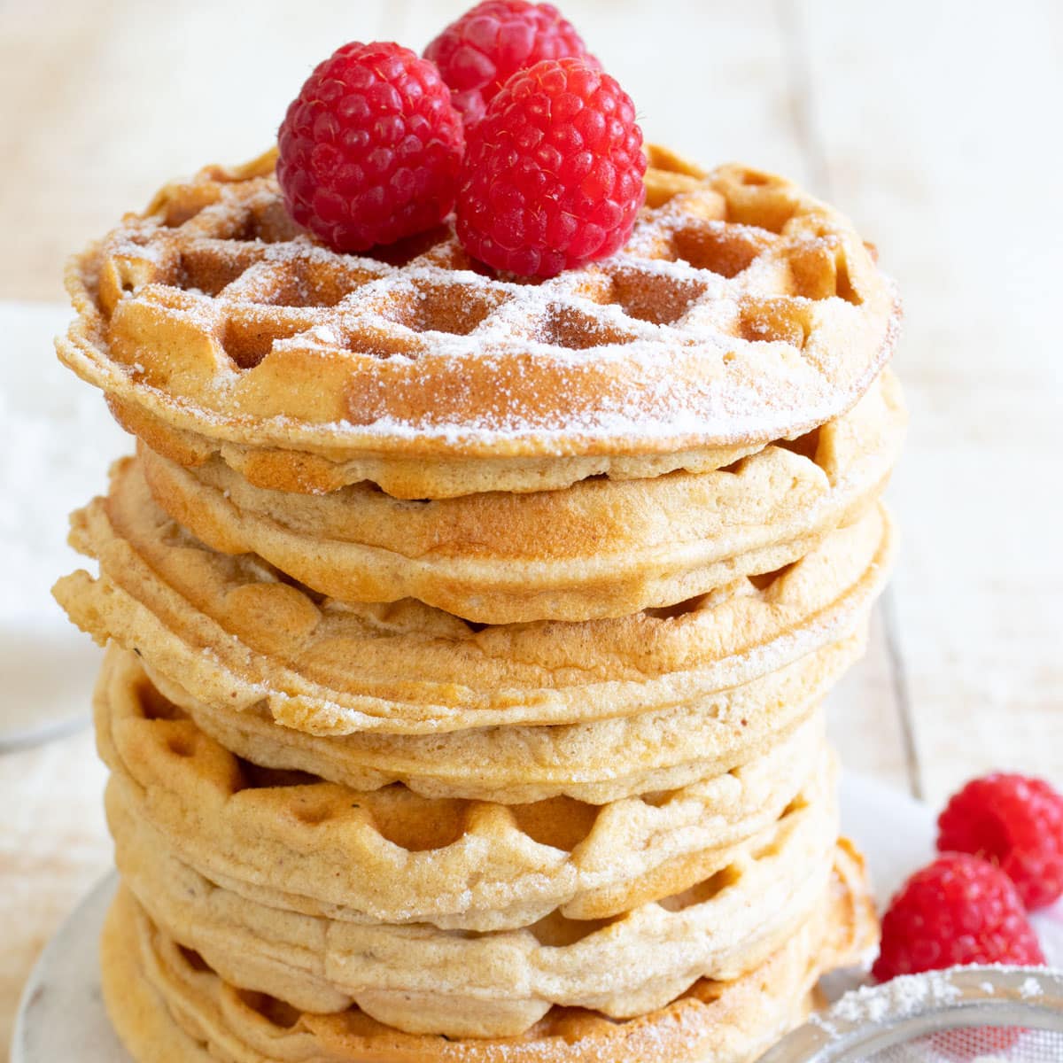 Protein Waffles
