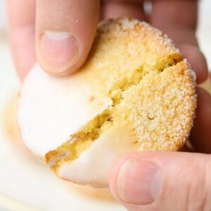 Hand holding a sugar free sugar cookie, dipped in icing and sweetener.