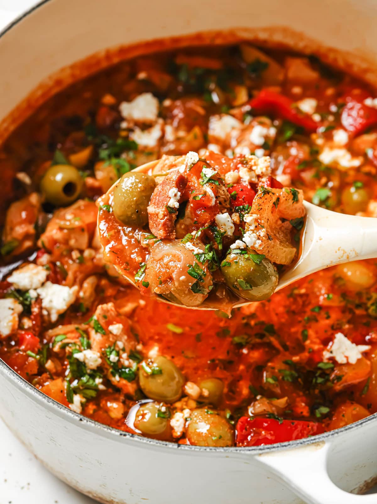 A ladle with Spanish chicken stew.