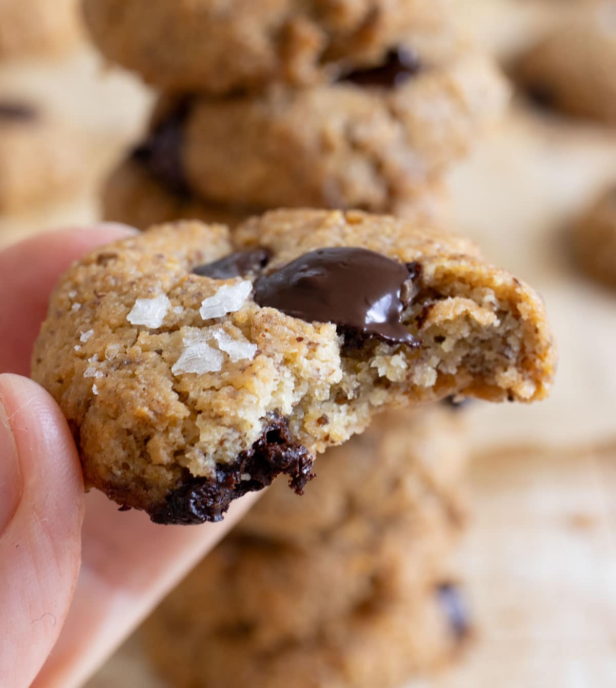 A chocolate chip tahini cookie broken in half showing the inside.