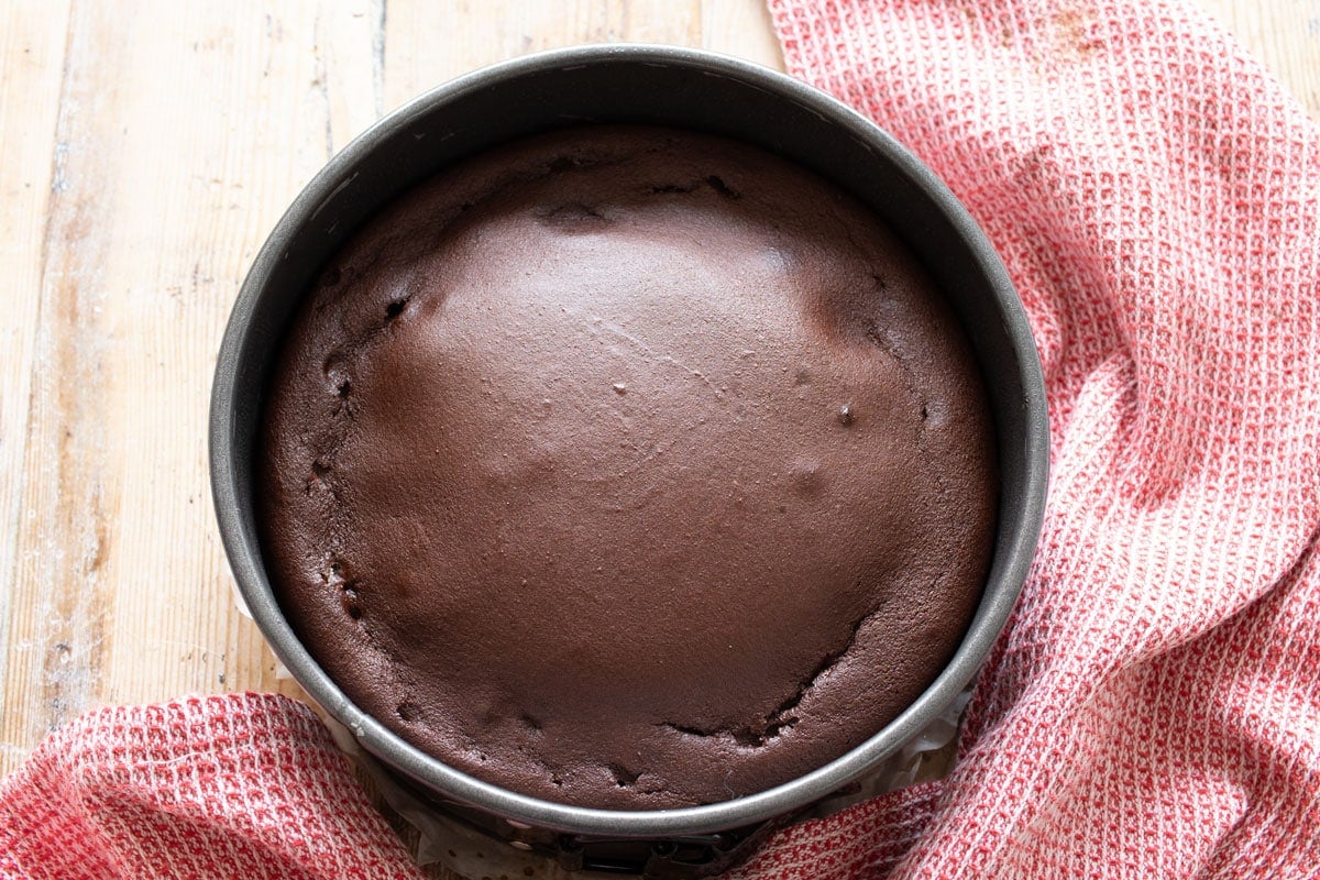The baked cake in the springform.