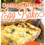 A slice of cottage cheese egg bake ona a plate with lettuce and a spatula lifting another slice from the casserole dish.