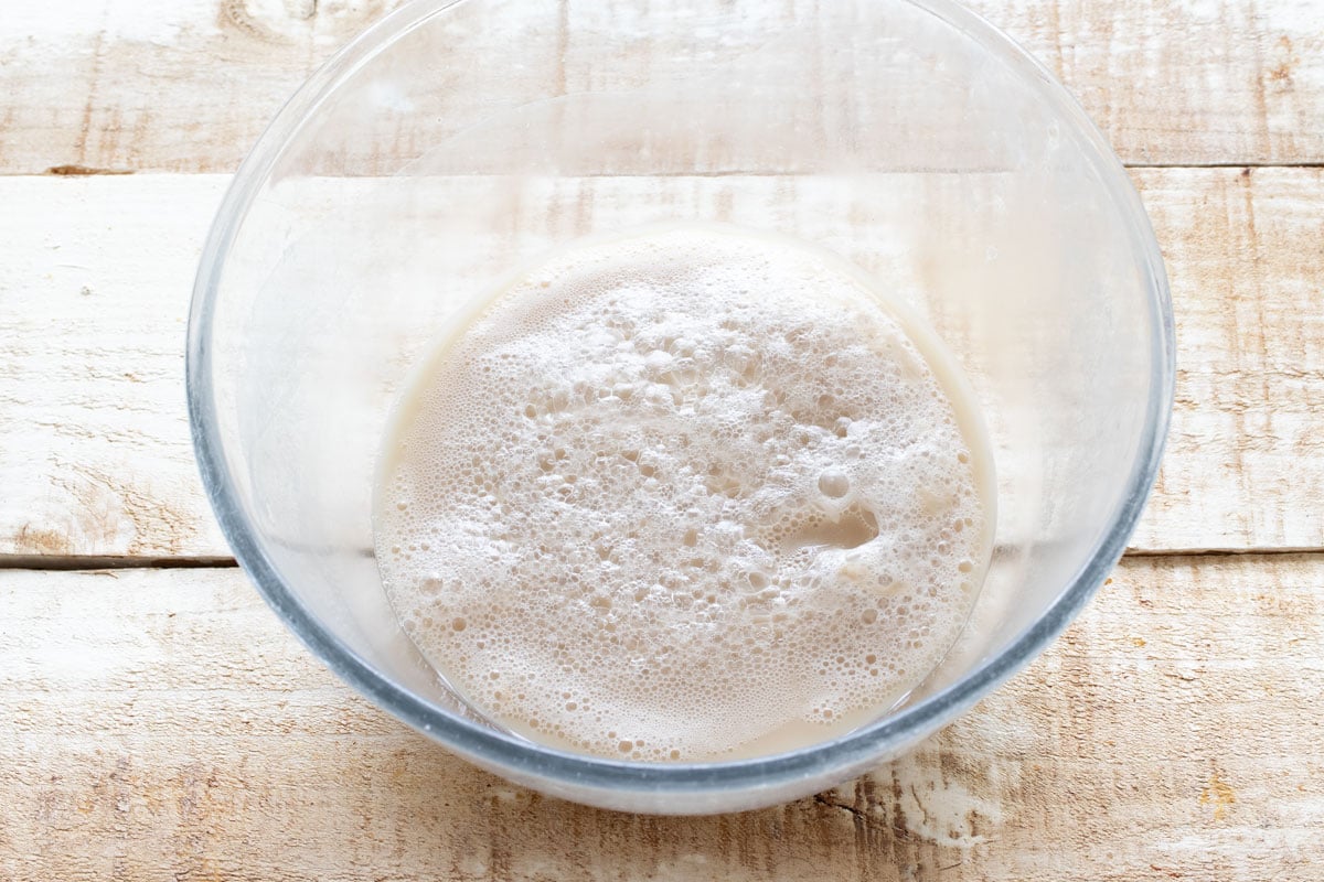 Frothy activated yeast mixture in a mixing bowl.